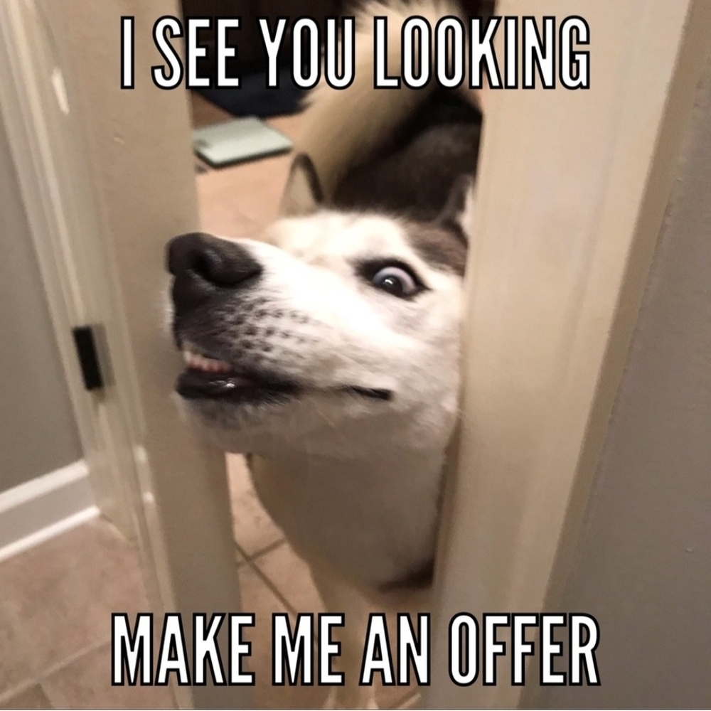 Make Me An Offer